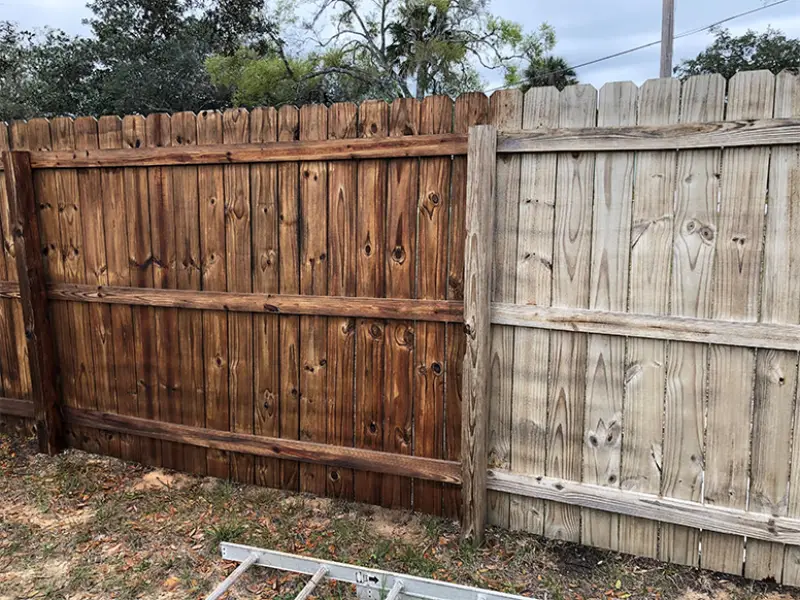 Fence painting